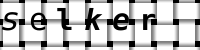 验证码图片